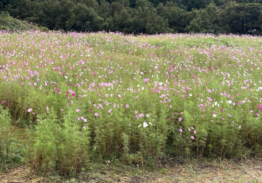 俵山交流館 萌の里